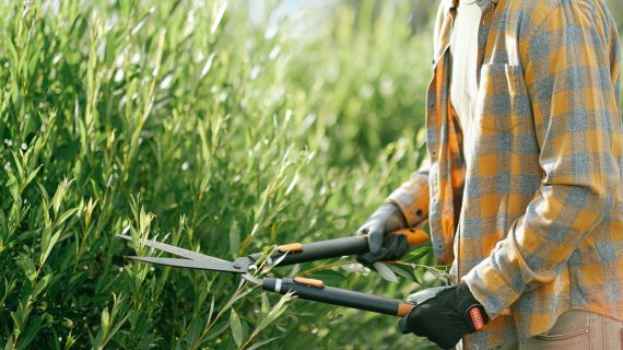 pexels-shvetsa-5027619